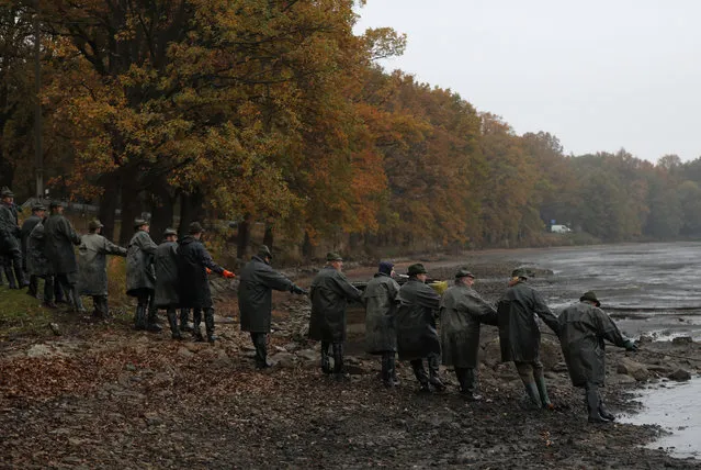 Fishermen pull on a net during a traditional fish haul of the Horusicky pond near the town of Veseli nad Luznici, Czech Republic, Tuesday, October 24, 2017. Southern Bohemia, where the Horusicky pond is located, with its elaborate network of ponds is at the center of the local carp universe. (Photo by Petr David Josek/AP Photo)
