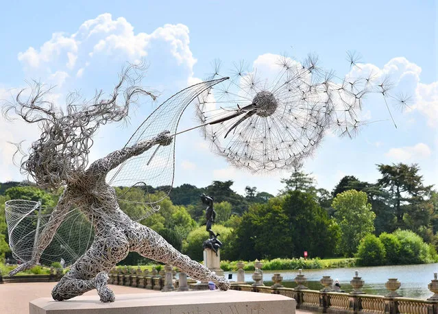 Fantasy Wire Fairies Sculptures By Robin Wight