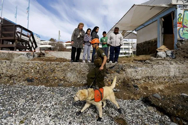 A policeman works with a rescue dog as they search for a missing resident after an earthquake hit areas of central Chile, in Tongoy town, next to Coquimbo city, north of Santiago, September 18, 2015. Residents started rebuilding their homes and businesses in Coquimbo on Friday, two days after a powerful earthquake and tsunami waves battered the port city. (Photo by Ivan Alvarado/Reuters)