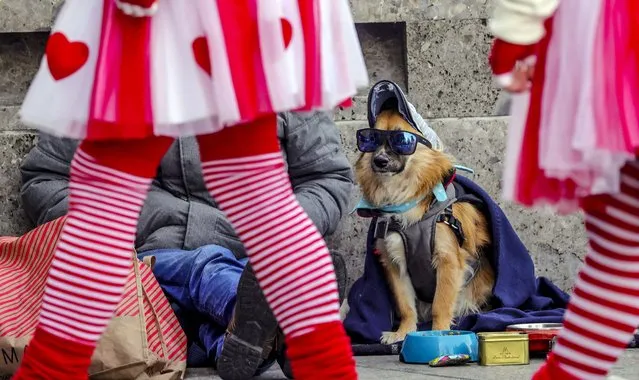 Costumed revelers pass a street beggar with a dog in Cologne, Germany, 11 November 2022. The German carnival, the so-called fifth season, starts each year on 11 November at 11:11 am and ends on Ash Wednesday of the following year. (Photo by Friedemann Vogel/EPA/EFE)