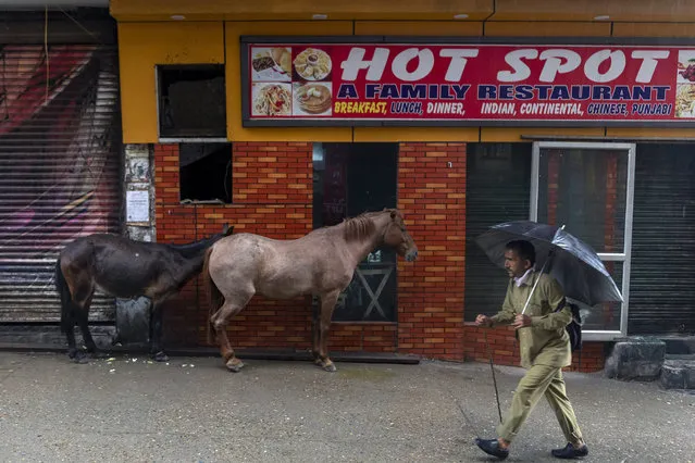 A man passes by horses sheltering from the rain under the canopy of a restaurant in Dharmsala, India, Tuesday, August 18, 2020. (Photo by Ashwini Bhatia/AP Photo)