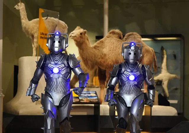 Cybermen in the National Museum Of Scotland at a preview for the Doctor Who Worlds of Wonder exhibition at National Museum Of Scotland in Edinburgh on Wednesday, December 7, 2022. (Photo by Andrew Milligan/PA Images via Getty Images)