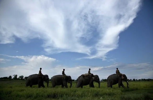 Mahouts guide forest department elephants to demolish houses at Bandardubi village, on the periphery of the Kaziranga National Park, northeastern Assam state, India, Monday, September 19, 2016. Authorities ordered the demolition of around 300 houses in three villages to evict people living on the periphery of the rhino sanctuary to stop rampant poaching of the rare animal, a top police official said. Two people were killed and several others were injured Monday when villagers clashed with police while protesting the demolition of their homes. (Photo by Anupam Nath/AP Photo)