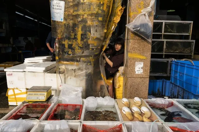 Vendor sells seafood to costumers on Huangsha Seafood Market in Guangzhou, Guandong Province, China, 22 January 2018. (Photo by Aleksandar Plavevski/EPA/EFE)