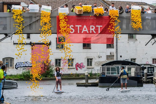 Around 3,000 rubber ducks are launched on Regent's Canal in Paddington, UK on July 25, 2024 for the annual charity rubber duck race. Now in its 17th year, the race raises money for local charity Cosmic (Children of St Mary's Intensive Care), by allowing the public to sponsor a duck for £3. The first duck to bob 100 metres to the finish line is declared the winner. (Photo by Guy Bell/Alamy Live News)