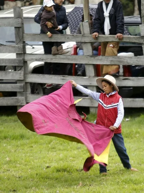 A boy practises waving his capote during a popular bull festival called Las Canteras del Antisana at Pinantura village on the base of the Antisana volcano in Quito, November 28, 2015. (Photo by Guillermo Granja/Reuters)