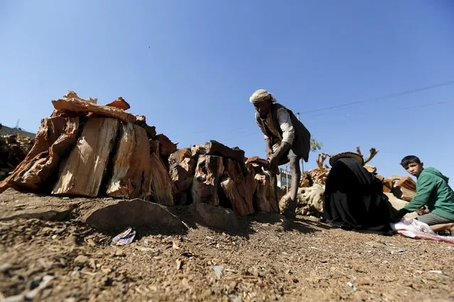 A vendor displays firewood at a market amid ongoing fuel and cooking gas shortages in Yemen's capital Sanaa December 2, 2015. (Photo by Khaled Abdullah/Reuters)