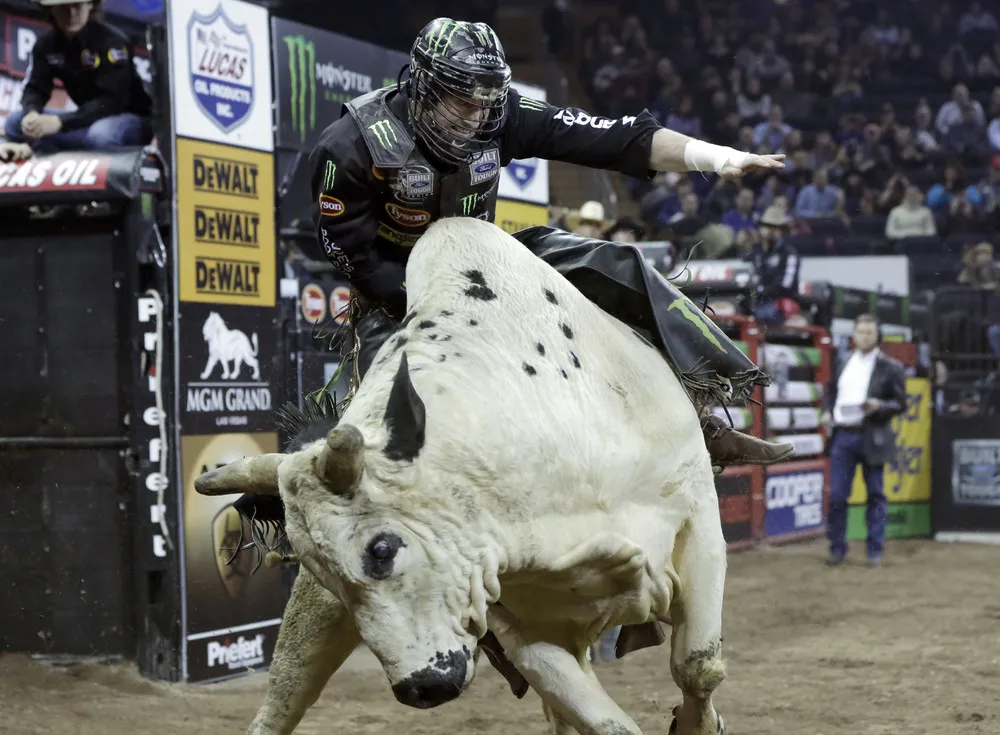 The Professional Bull Riders Buck Off