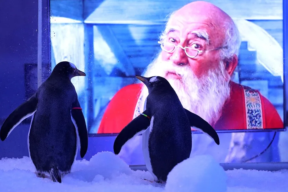 Pictures of the Year 2020, Part 75/82