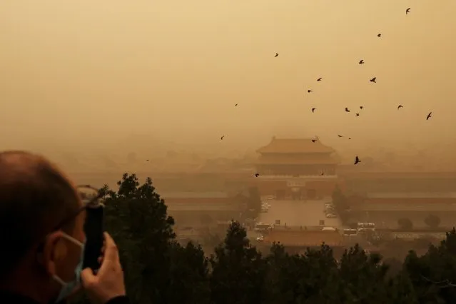 A visitor wearing a face mask looks on from behind barricades at a peak overlooking the Forbidden City at Jingshan Park, as birds fly past while the city is hit by a sandstorm, in Beijing, China on March 15, 2021. (Photo by Tingshu Wang/Reuters)
