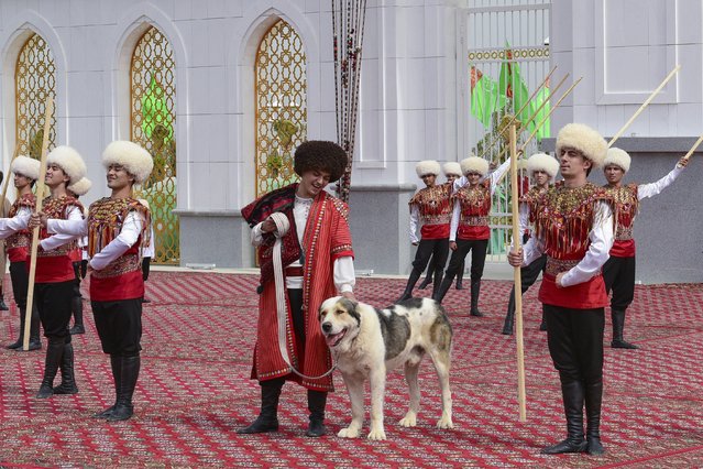 A man dressed in a national costume, center, pets his border guard shepherd dog Alabay during Dog Day celebration in Ashgabat, Turkmenistan, Sunday, April 25, 2021. The Central Asian nation of Turkmenistan has celebrated its new state holiday honoring the native Alabay dog breed. President Gurbanguly Berdymukhamedov established the holiday to be observed on the same day that Turkmenistan lauds its Akhla-Teke horse, a breed known for its speed and endurance. (Photo by AP Photo/Stringer)