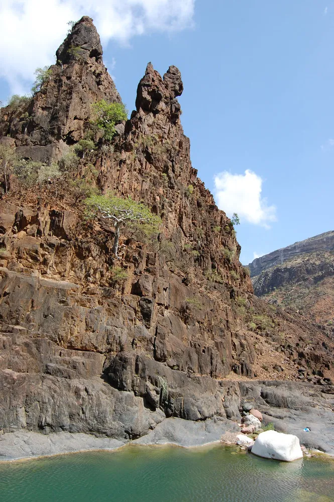 The Wonder Land of Socotra, Yemen