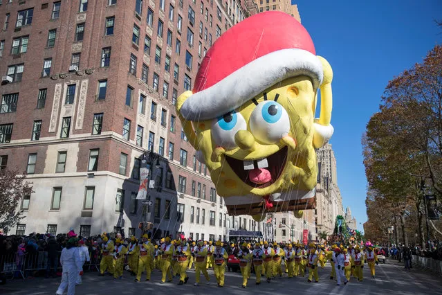 Sponge-bob sports a Santa hat during the parade in New York on November 22, 2018. (Photo by Erik Thomas/NY Post)