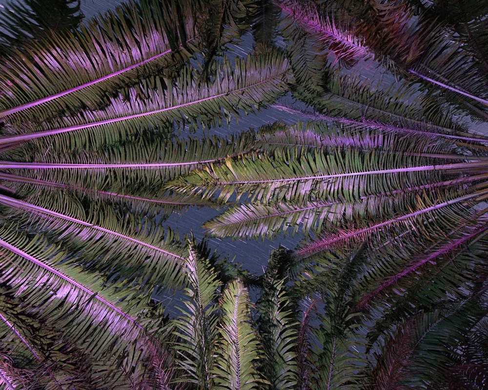 “After Taking LSD”