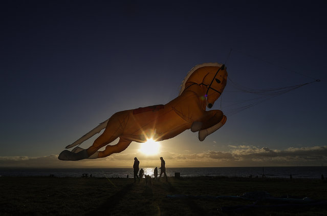 A horse shaped kite named Goldey takes to the sky as enthusiasts from the Northern Kite Group take advantage of the good weather to fly their kites at Crosby beach on January 2, 2017 in Crosby, England. (Photo by Christopher Furlong/Getty Images)