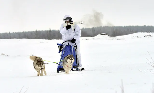 A Russian serviceman of the Northern Fleet's Arctic mechanised infantry brigade participates in a military drill on riding reindeer and dog sleds near the settlement of Lovozero outside Murmansk, Russia January 23, 2017. (Photo by Lev Fedoseyev/Reuters/Ministry of Defence of the Russian Federation)