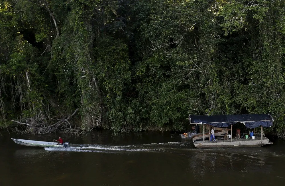 Fight against Illegal Amazon Gold Mining