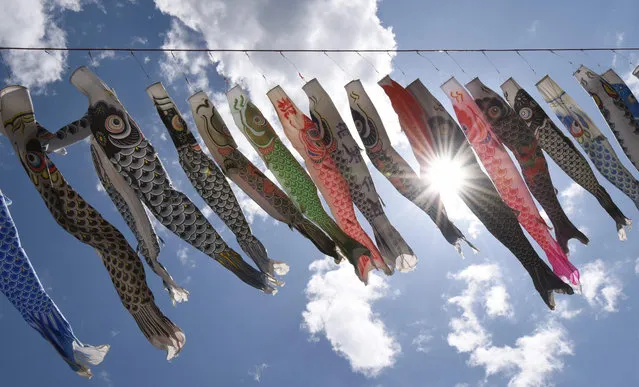 Colorful carp streamers flutter above a riverside park in Sagamihara, suburban Tokyo, on April 29, 2016 ahead of May 5 Children's Day in Japan. (Photo by Toru Yamanaka/AFP Photo)