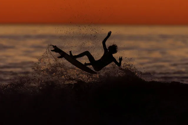 A surfer falls while riding a wave after sunset in Encinitas, California, U.S., January 11, 2022. (Photo by Mike Blake/Reuters)