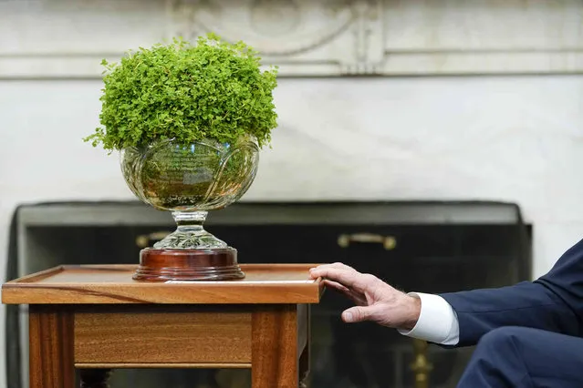 Clover is displayed as President Joe Biden meets virtually with Irish Prime Minister Micheál Martin in the Oval Office of the White House, Thursday, March 17, 2022, in Washington. Martin tested positive for COVID-19 Wednesday. (Photo by Patrick Semansky/AP Photo)