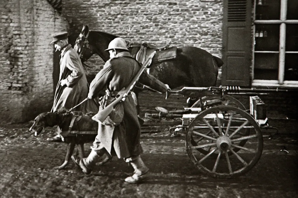 WWI: Unseen Images from the Front