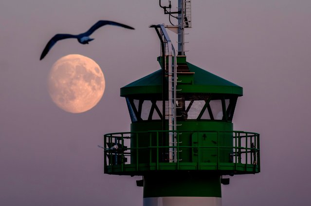 The moon rises behind the lighthouse at the harbor of Travemuende, northern Germany, Tuesday, October 15, 2024. (Photo by Michael Probst/AP Photo)