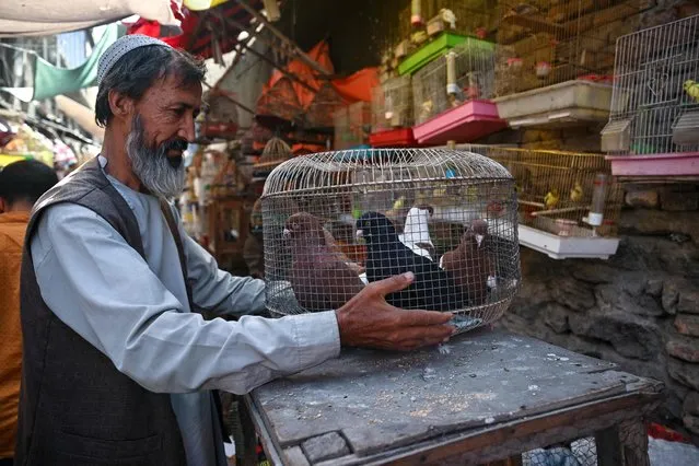 A bird vendor picks up a cage full of pigeons in the Ka Faroshi bird market in Kabul on July 16, 2022. (Photo by Lillian Suwanrumpha/AFP Photo)