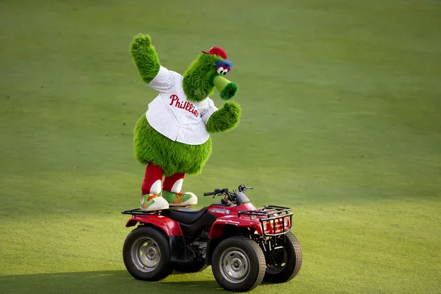 The Phillie Phanatic dances on his ATV prior to the game between the Seattle Mariners and Philadelphia Phillies on August 18, 2014 at Citizens Bank Park in Philadelphia, Pennsylvania. (Photo by Mitchell Leff/Getty Images)