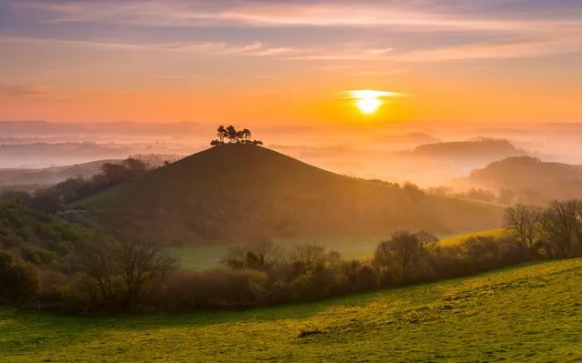 Colmers Hill near Bridport in Dorset, UK sits above the mist at sunrise ahead of another forecast warm sunny spring day on April 9, 2020. (Photo by Graham Hunt/Alamy Live News)