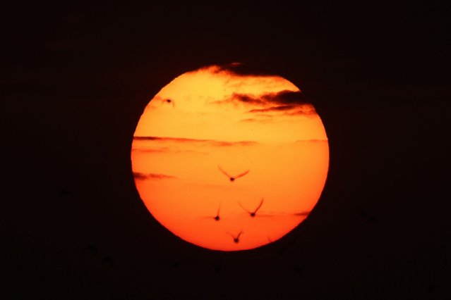 The sun rises over Kuwait City on October 20, 2024. (Photo by Yasser Al-Zayyat/AFP Photo)
