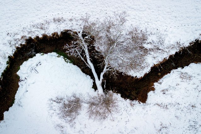 A tree lies over a creek that meanders through a small valley in the Taunus region near Frankfurt, Germany, Friday, January 3, 2025. (Photo by Michael Probst/AP Photo)