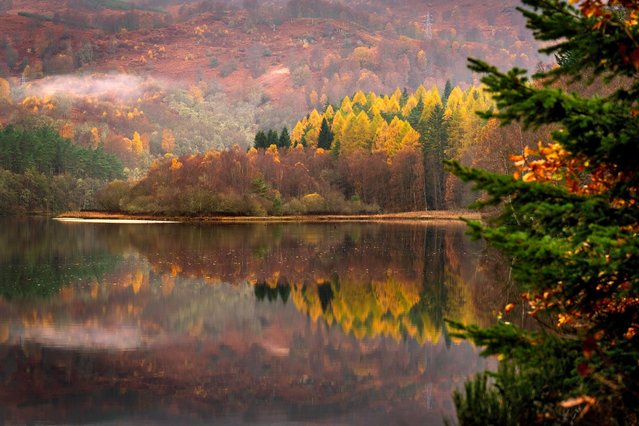 A view of Loch Faskally near Pitlochry, Perthshire, taken by PA news agency photographer Jane Barlow, which features on First Minister John Swinney's official Christmas card this year. Picture date: Tuesday December 10, 2024. (Photo by Jane Barlow/PA Images via Getty Images)