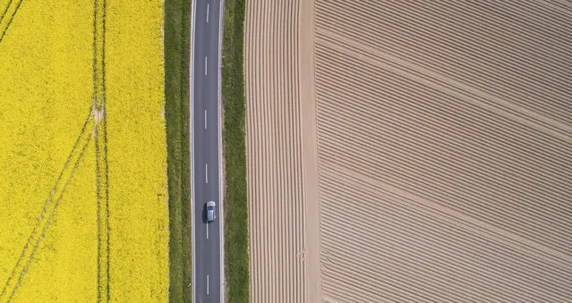A lorry drives along a country road that between a flowering rape field and a freshly tilled field in Pattensen, Germany, Tuesday, April 28, 2020. (Photo by Julian Stratenschulte/dpa via AP Photo)