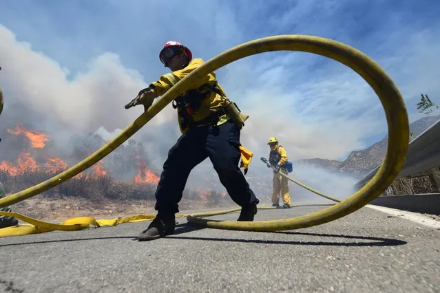 Firefighters battle the Bluecut Fire along Swarthout Canyon Road in the Cajon Pass, north of San Bernardino, Calif., Tuesday, August 16, 2016. Officials with the San Bernardino National Forest say five years of drought coupled with dry, hot weather have turned the entire area into a tinder box. (Photo by Will Lester/The Sun via AP Photo)