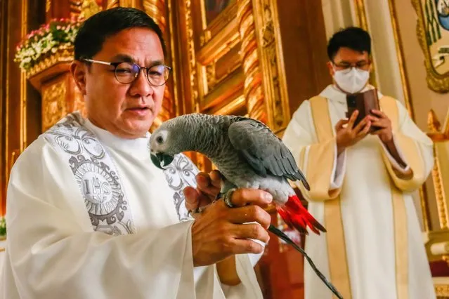 A priest pets his parrot before the blessing of pets on World Animal Day in Antipolo, Philippines on October 4, 2022. World Animal Day is a yearly event celebrated every 4th of October, the feast day of Francis of Assisi, the patron saint of animals. The celebration of World Animal Day highlights animal protection as the highly prioritize issue around the globe. (Photo by Ryan Eduard Benaid/SOPA Images/Rex Features/Shutterstock)