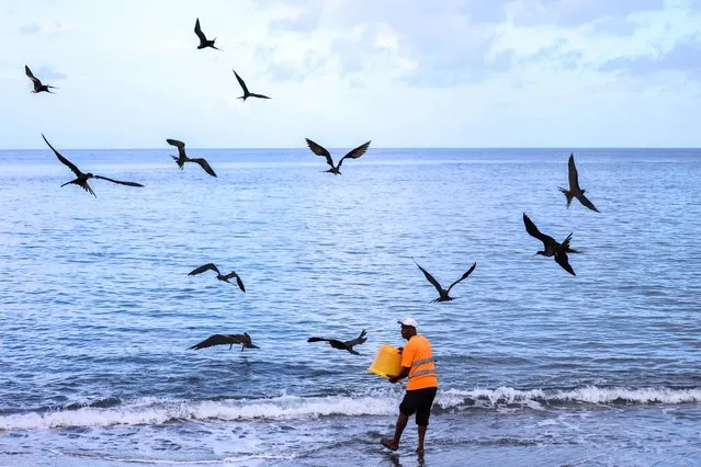 Frigatebirds fly over a fisherman throwing fish wastes in the ocean in Le Precheur village, on the French Caribbean island of Martinique on November 23, 2022. (Photo by Charly Triballeau/AFP Photo)