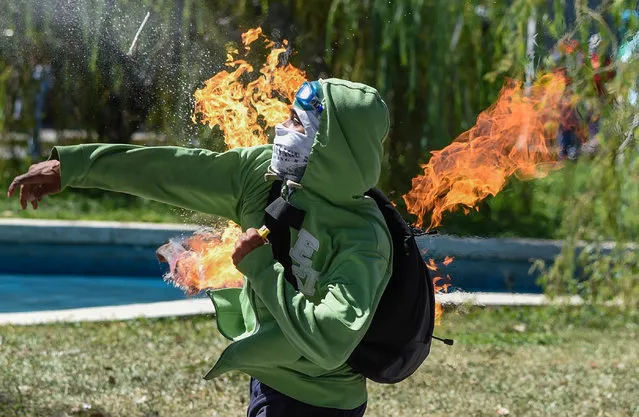 A demonstrator throws a Molotov cocktail at riot police during clashes in Caracas on January 22, 2018 which erupted during a protest to condemn the death of dissident former police officer Oscar Perez – gunned down in a bloody police operation on February 16. Perez, whose body was buried by the government on January 21 against his family' s wishes, was Venezuela' s most wanted man since June when he flew a stolen police helicopter over Caracas dropping grenades on the Supreme Court and opening fire on the Interior Ministry. (Photo by Juan Barreto/AFP Photo)