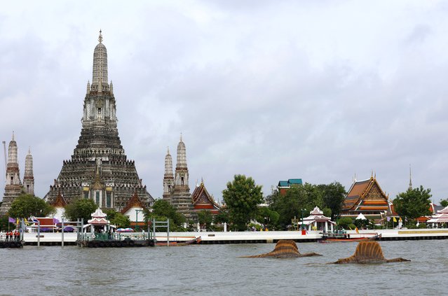 Giant Spinosaurus installations float on the Chao Phraya River, during the 'Jurassic World: Rebirth' movie promotional event in Bangkok, Thailand, 17 July 2025. A promotional event for “Jurassic World: Rebirth” was held on Bangkok's Chao Phraya River. The film was shot in Thailand, in locations such as Krabi, Trang, Phang Nga, and Chiang Mai province. (Photo by Narong Sangnak/EPA)