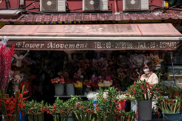 A woman shops for Pagoda Bamboo ahead of Lunar New Year at Petaling Street, Chinatown on January 15, 2023 in Kuala Lumpur, Malaysia. (Photo by Annice Lyn/Getty Images)