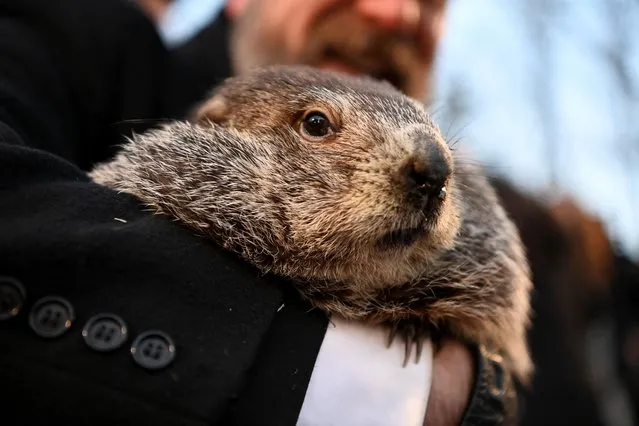AJ Dereume holds Punxsutawney Phil during the Groundhog Day Festivities, at Gobblers Knob in Punxsutawney, Pennsylvania, U.S., February 2, 2023. (Photo by Alan Freed/Reuters)