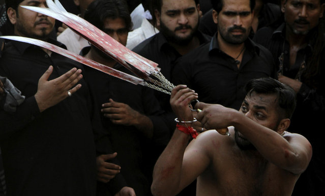 A Pakistani Shiite Muslim flagellates himself during a Muharram processions in Lahore, Pakistan, Tuesday, October 11, 2016. During Muharram, the first month of the Islamic calendar, ten days of mourning is observed by Shiites in remembrance of the martyrdom of Imam Hussein, the grandson of Prophet Mohammed. (Photo by K.M. Chaudhry/AP Photo)