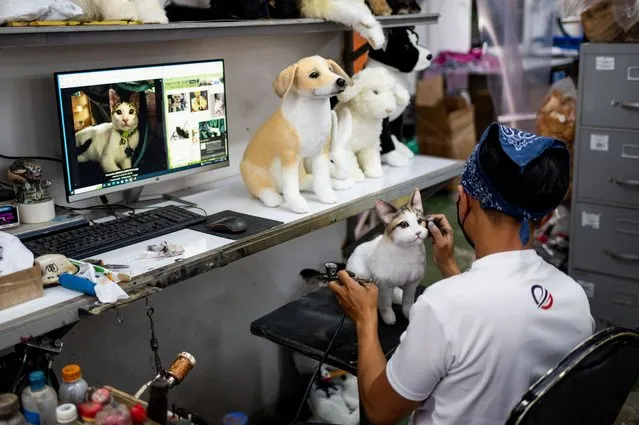 A worker paints the face of a realistic pet plushie, at the Pampanga Teddy Bear Factory, in Angeles City, Pampanga province, Philippines on March 10, 2023. (Photo by Lisa Marie David/Reuters)