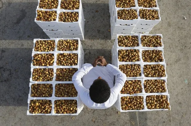 A vendor sells dates at a market ahead of the holy fasting month of Ramadan at Utaiqah neighbourhood, south of Riyadh, Saudi Arabia in this June 26, 2014 file photo. (Photo by Faisal Al Nasser/Reuters)