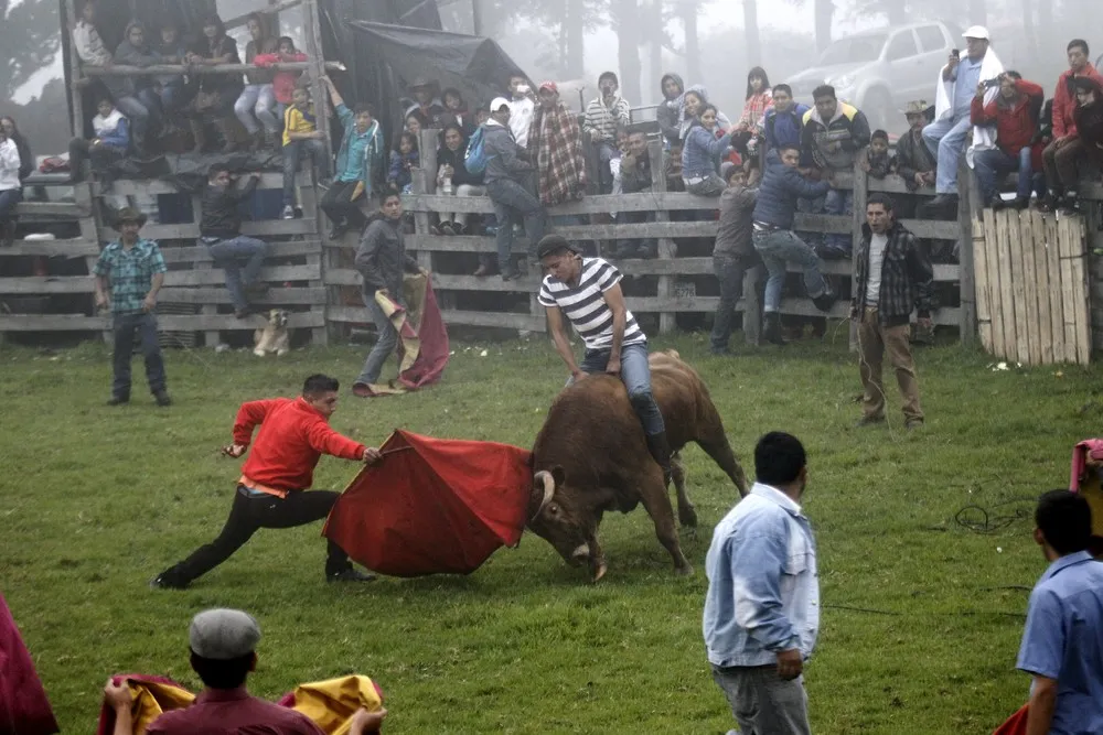 Ecuadorian Bullfighting