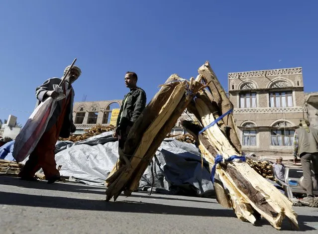 Firewood is displayed for sale on a street amid ongoing fuel and cooking gas shortages in Yemen's capital Sanaa December 2, 2015. (Photo by Khaled Abdullah/Reuters)