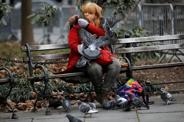 A woman feeds pigeons as she sits on a bench in City Hall Park in lower Manhattan in New York City, New York, U.S., January 11, 2021. (Photo by Mike Segar/Reuters)