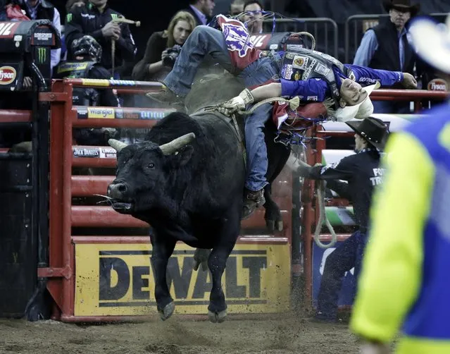 Renato Nunes, from Brazil, rides Easy Does It during the Professional Bull Riders Buck Off, in New York's Madison Square Garden, Friday, January 16, 2015. The top 35 bull riders compete during the PBR event, returning to New York for the ninth consecutive year. (Photo by Richard Drew/AP Photo)