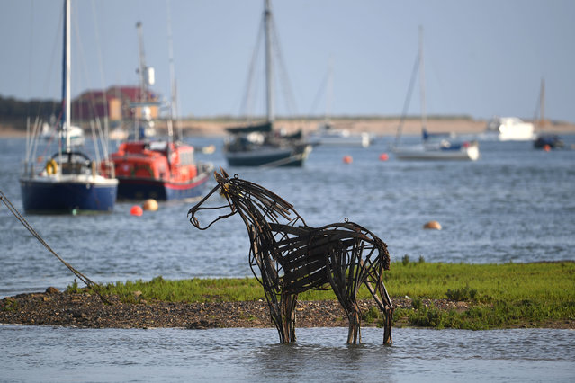 Lifeboat Horse, a sculpture by Rachael Long, stands on the mudflats during low tide at Wells-next-the-Sea in Norfolk, UK on August 15, 2018. The creation, inspired by the horses used to haul the lifeboat to launch during the 1800s, is made from scrap metal, recycled wooden barrels and steel rods and is designed to stand on the mudflats at low tide before gradually being covered by the sea. (Photo by Joe Giddens/PA Wire)