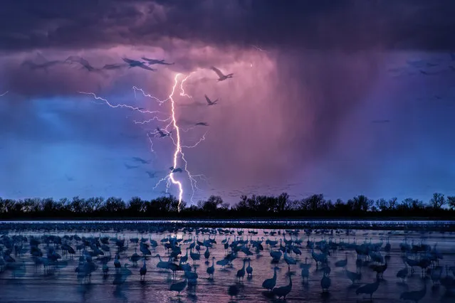 Lighting, Wood River, Nebraska, 2016. (Photo by Randy Olson/National Geographic)