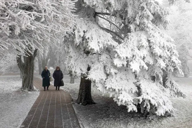 Elderly women walk under snow and ice laden trees at Central Park in Stavropol, southern Russia, February 13, 2015. (Photo by Eduard Korniyenko/Reuters)